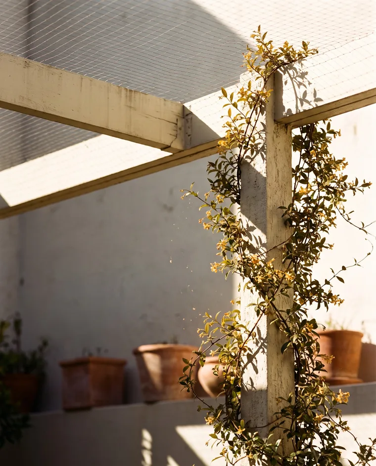 Discreet netting over a garden pergola